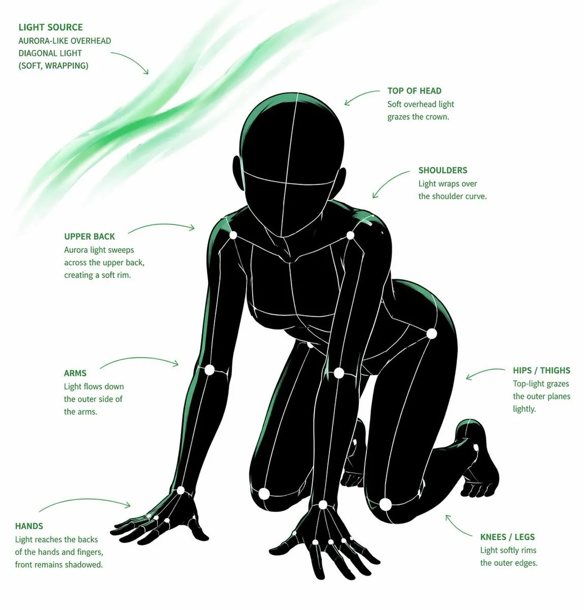 Pose & Light Anatomy Analysis Sheet - Portrait, Art, Product - AI Generated Image
