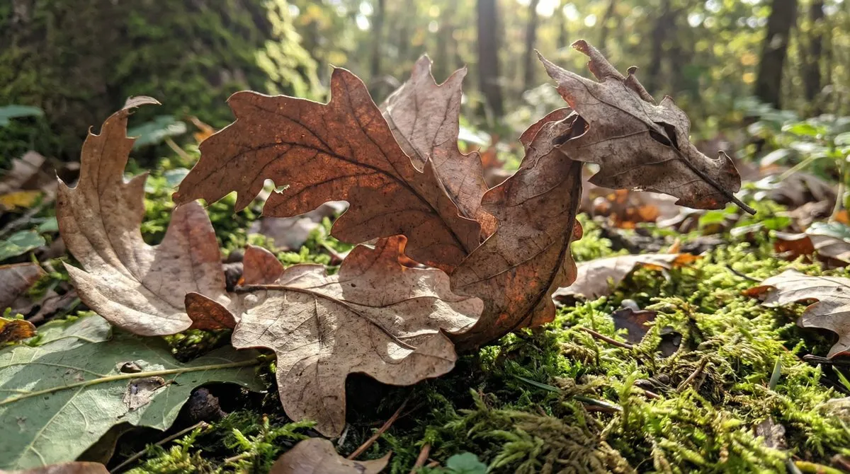 Leaf Dragon Art on Forest Floor: Autumn Nature Photography - Nature, Landscape - AI Generated Image